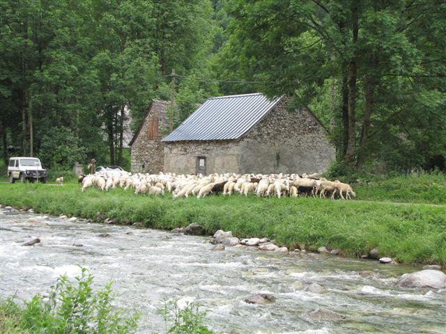 Auberge Les Myrtilles 호텔 Couflens 외부 사진